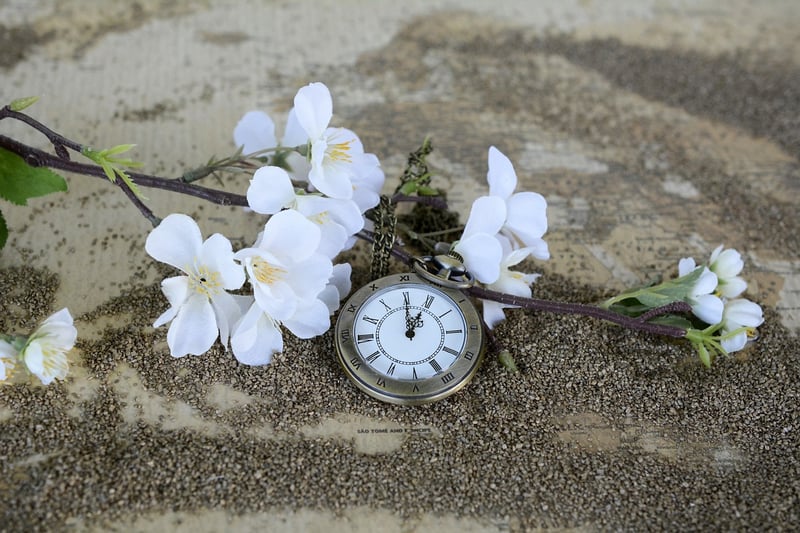 Entropy and Arrow of Time